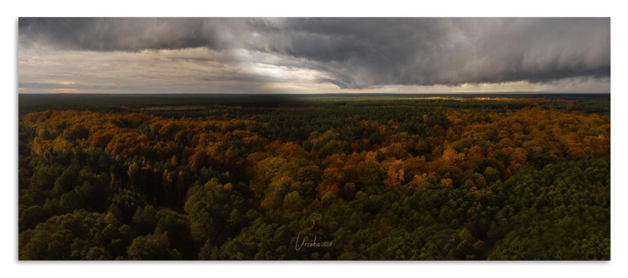Hotel Urzeka Drzewce  Exteriér fotografie